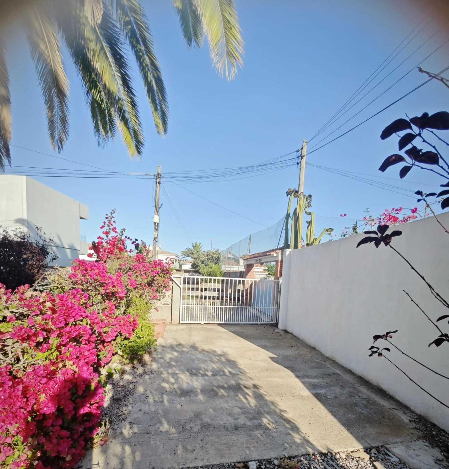 Casa Geminis Vinaros Daire Dış mekan fotoğraf