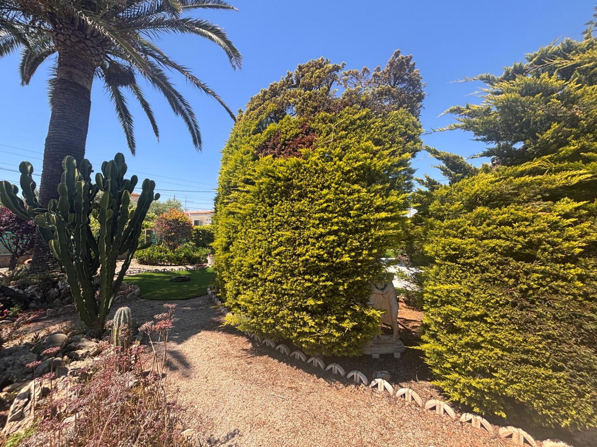 Casa Geminis Vinaros Daire Dış mekan fotoğraf