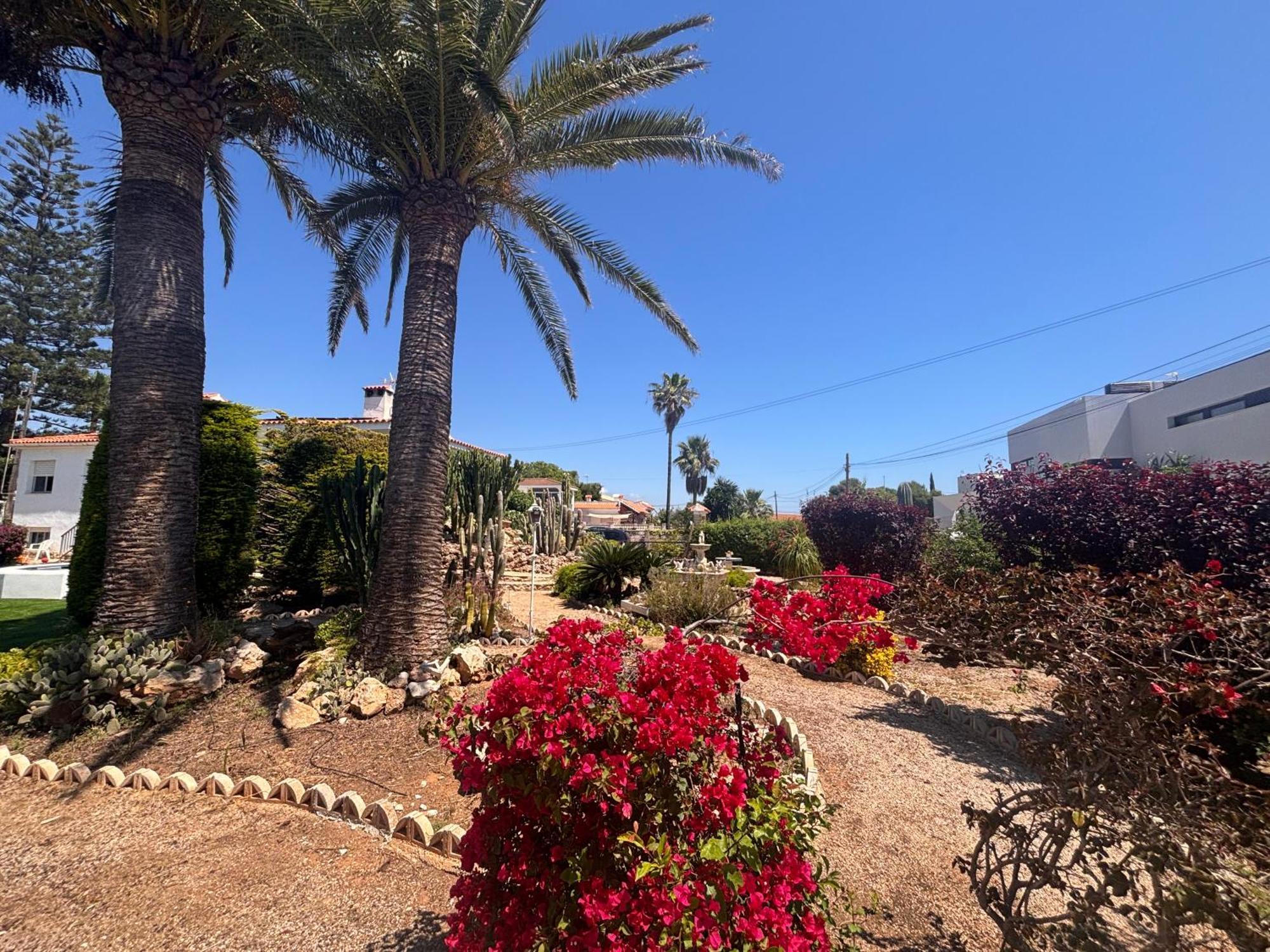 Casa Geminis Vinaros Daire Dış mekan fotoğraf